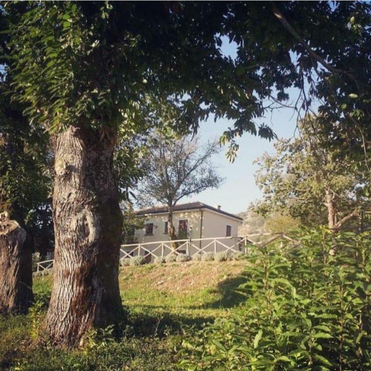 Villa Agriturismo Acquafredda Mormanno Exterior foto