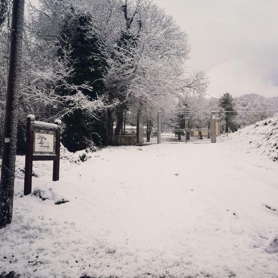 Villa Agriturismo Acquafredda Mormanno Exterior foto